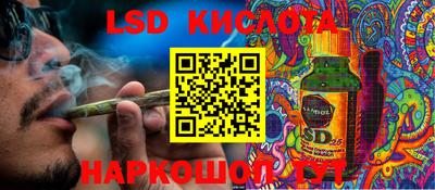 эйфоретик Краснодар